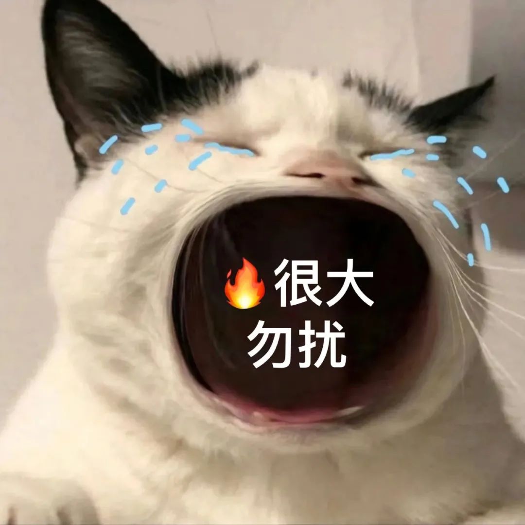 图片[1]-45个聊天撒娇必用大嘴猫表情-喜欢表情包分享—全网表情包