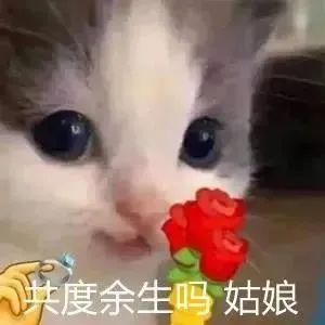 图片[29]-我能和你用情侣头像吗-喜欢表情包分享—全网表情包