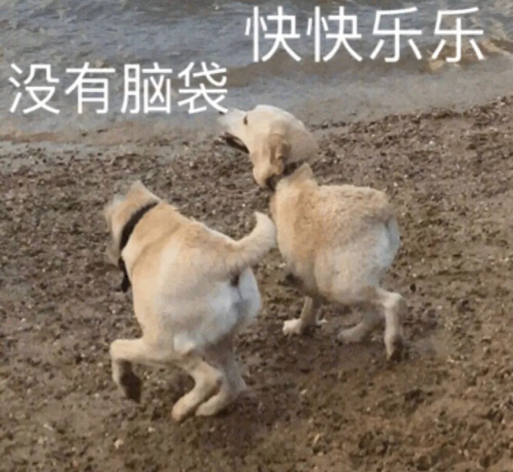 图片[20]-表情包-喜欢表情包分享—全网表情包