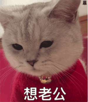 图片[2]-想老公 老婆-喜欢表情包分享—全网表情包