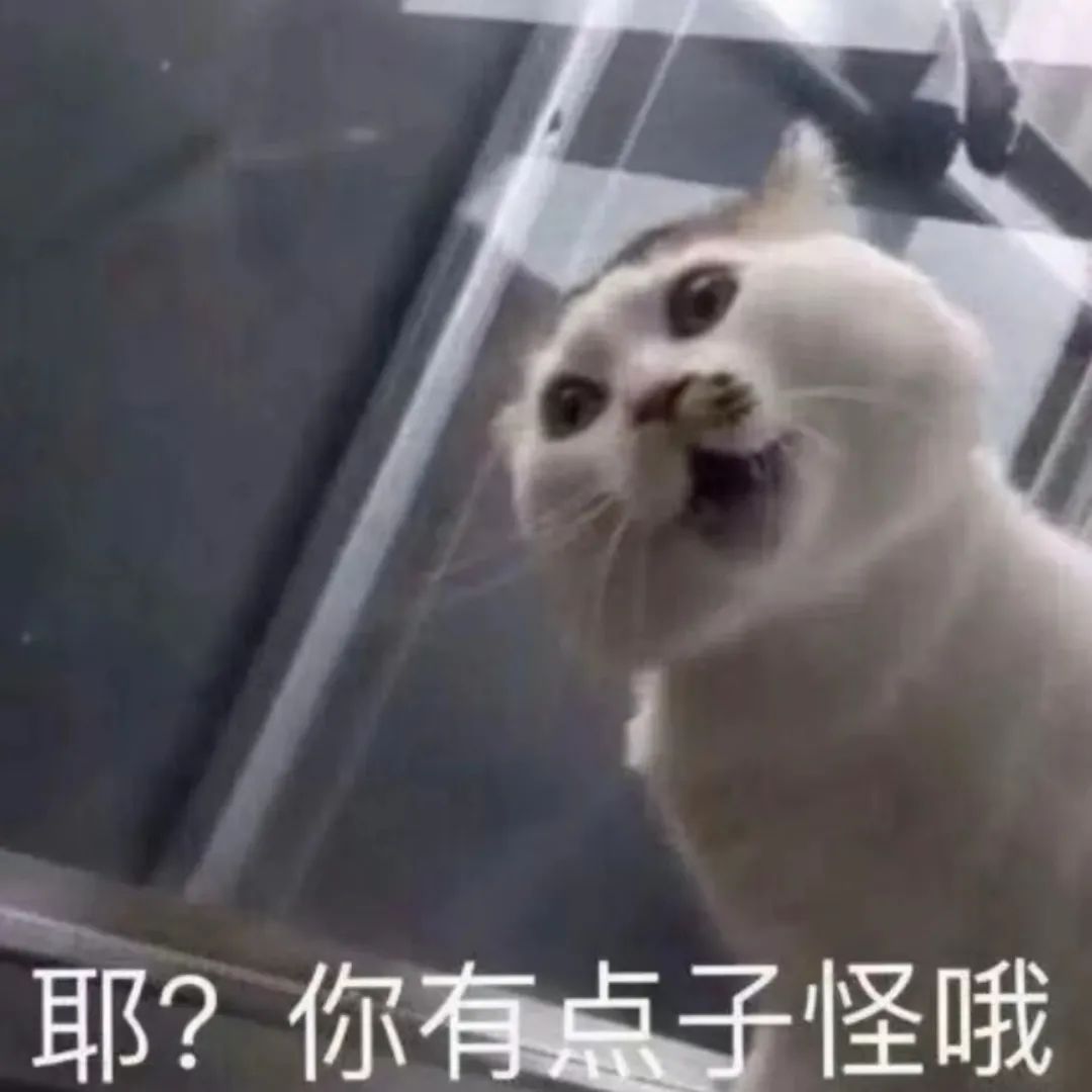 图片[27]-就你，给我看看你腹肌-喜欢表情包分享—全网表情包