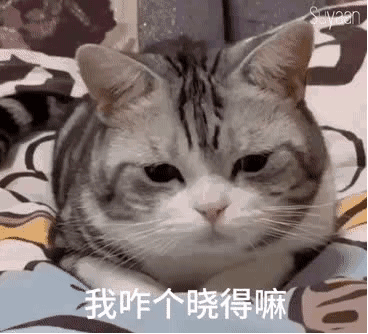 图片[10]-表情包-喜欢表情包分享—全网表情包