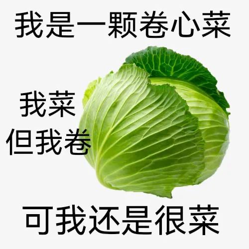图片[13]-可以进你被窝吗？-喜欢表情包分享—全网表情包